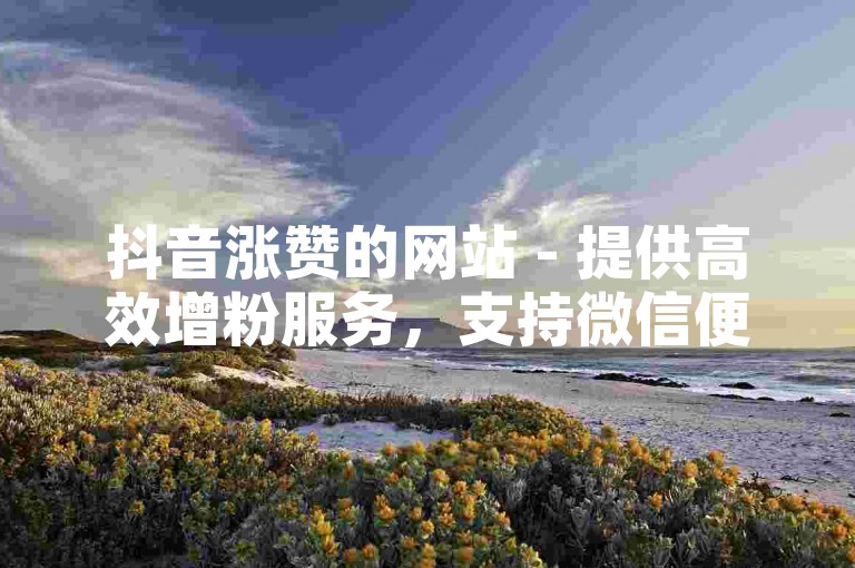 抖音涨赞的网站 - 提供高效增粉服务，支持微信便捷支付。