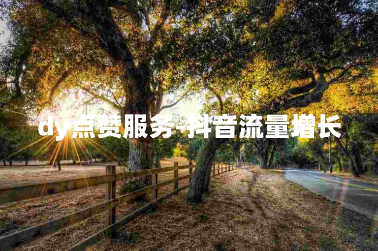 dy点赞服务-抖音流量增长