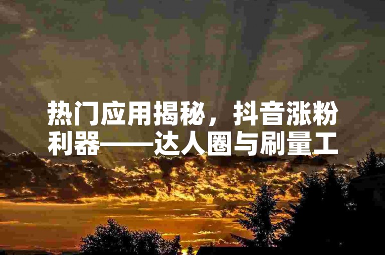 热门应用揭秘，抖音涨粉利器——达人圈与刷量工具在社交媒体上广受欢迎。