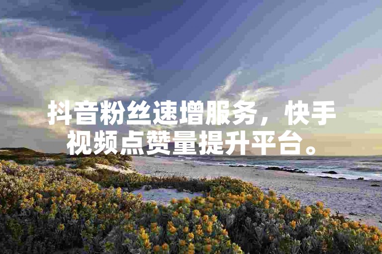 抖音粉丝速增服务，快手视频点赞量提升平台。