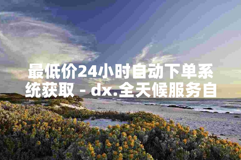 最低价24小时自动下单系统获取 - dx.全天候服务自助平台