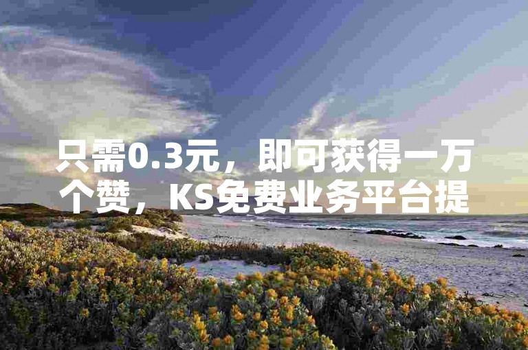 只需0.3元，即可获得一万个赞，KS免费业务平台提供全网最低价的抖音点赞服务，同时还有哔哩哔哩视频播放量提升服务。