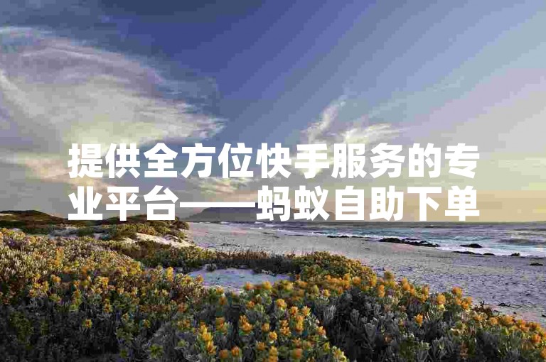 提供全方位快手服务的专业平台——蚂蚁自助下单网站，以全网最优惠的价格助力您的账号迅速增长。
