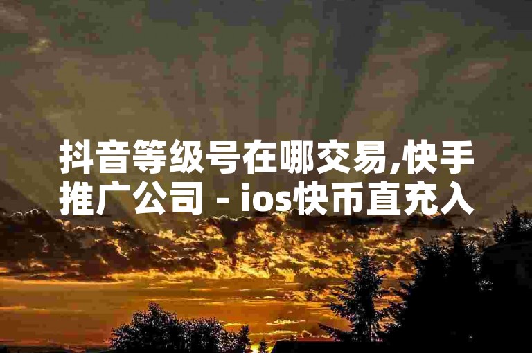 抖音等级号在哪交易,快手推广公司 - ios快币直充入口 - 如何充值快币