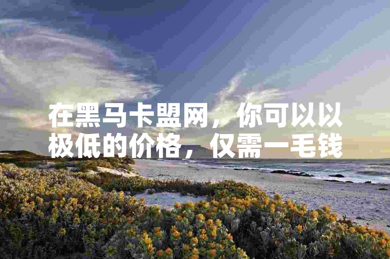 在黑马卡盟网，你可以以极低的价格，仅需一毛钱就能获得1000个赞，并且还能通过QQ免费领取说说赞。