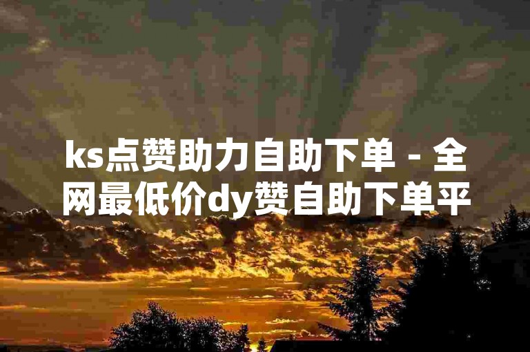 ks点赞助力自助下单 - 全网最低价dy赞自助下单平台