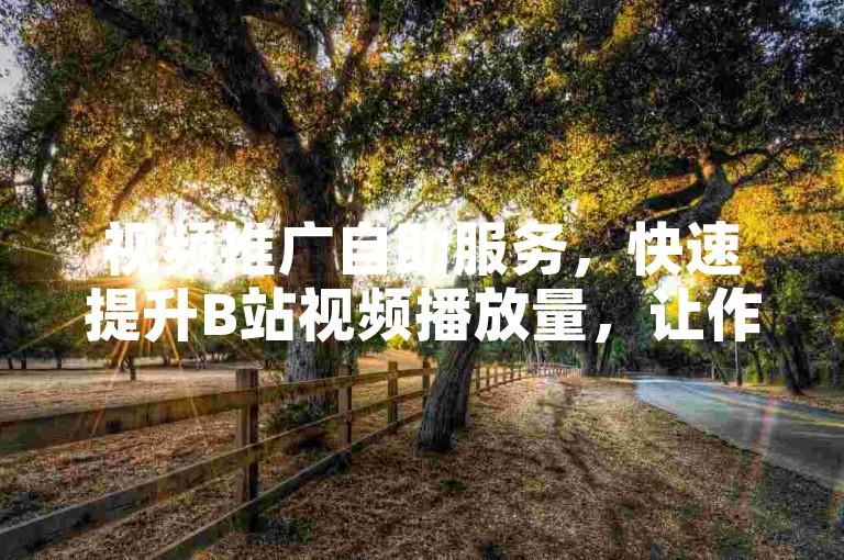 视频推广自助服务，快速提升B站视频播放量，让作品更易被观众发现！