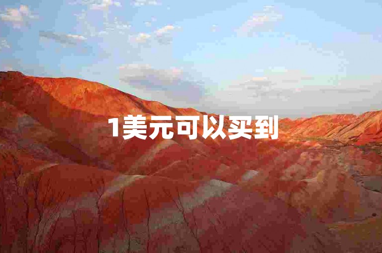 1美元可以买到5个快币。