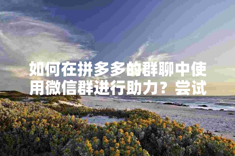 如何在拼多多的群聊中使用微信群进行助力？尝试一下多多助力软件吧！