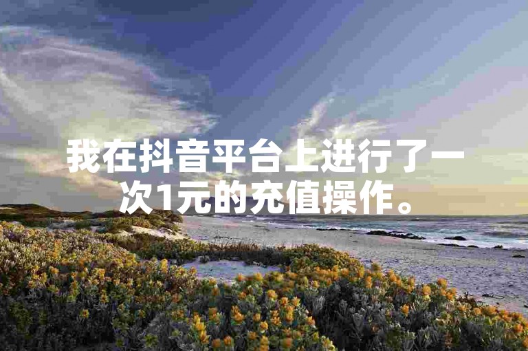 我在抖音平台上进行了一次1元的充值操作。