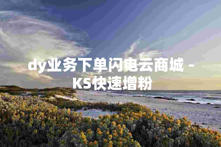 dy业务下单闪电云商城 - KS快速增粉