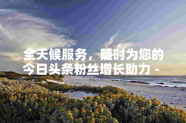 全天候服务，随时为您的今日头条粉丝增长助力 - 一站式网络业务自助下单平台。