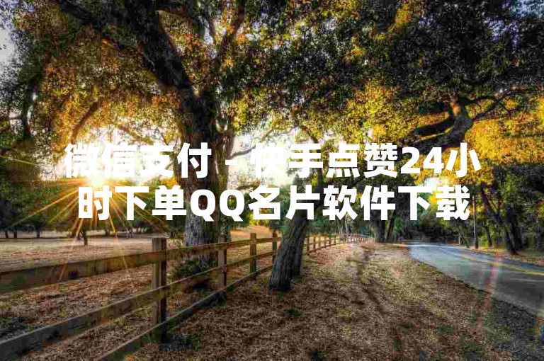 微信支付 - 快手点赞24小时下单QQ名片软件下载