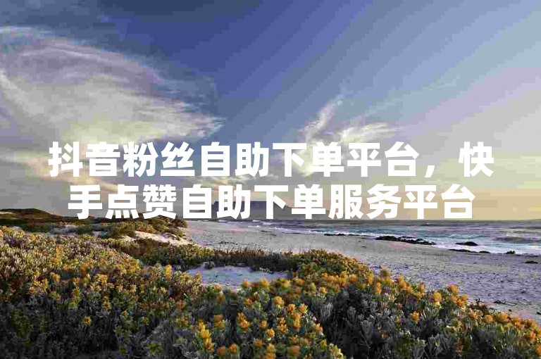 抖音粉丝自助下单平台，快手点赞自助下单服务平台。
