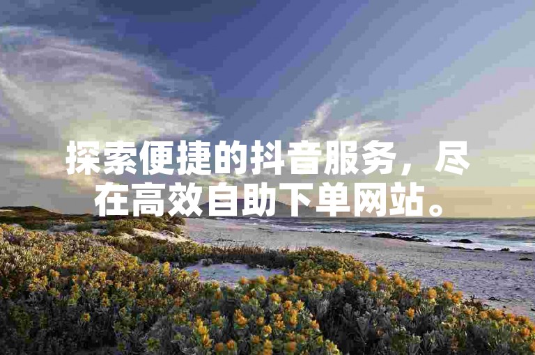 探索便捷的抖音服务，尽在高效自助下单网站。