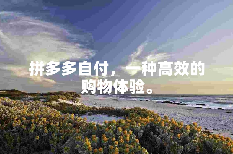 拼多多自付，一种高效的购物体验。
