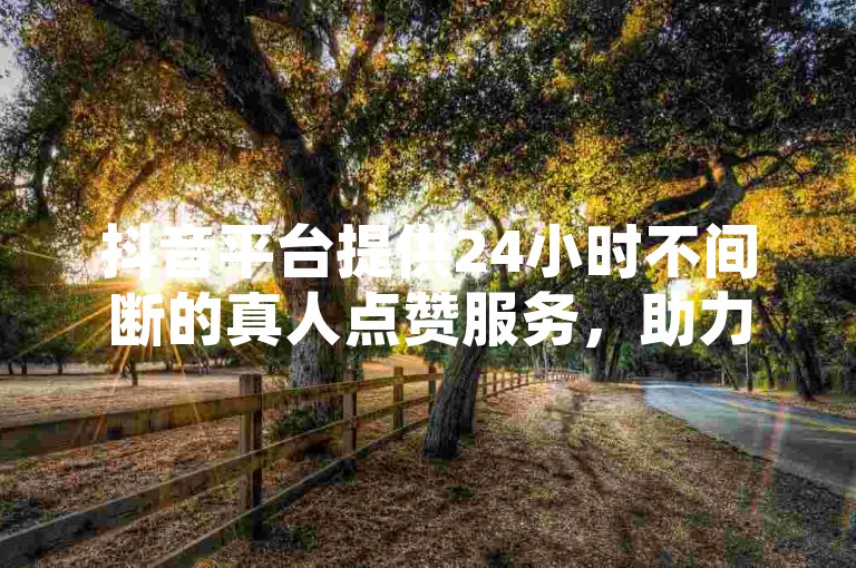 抖音平台提供24小时不间断的真人点赞服务，助力内容创作者提升视频热度。