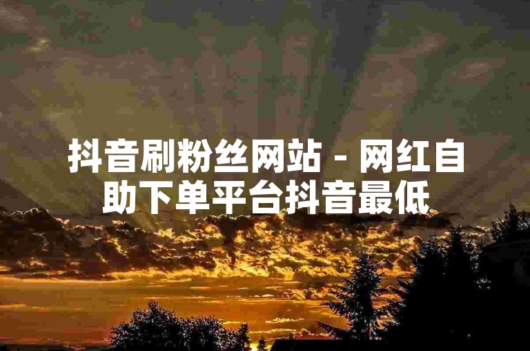 抖音刷粉丝网站 - 网红自助下单平台抖音最低