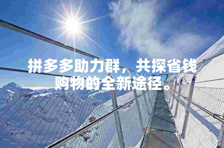 拼多多助力群，共探省钱购物的全新途径。