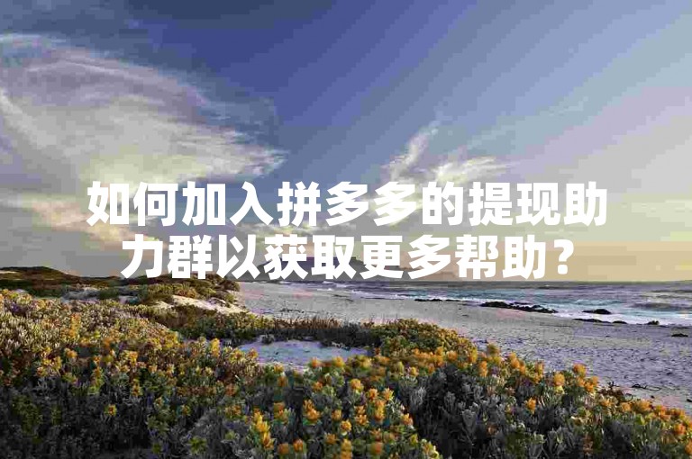 如何加入拼多多的提现助力群以获取更多帮助？
