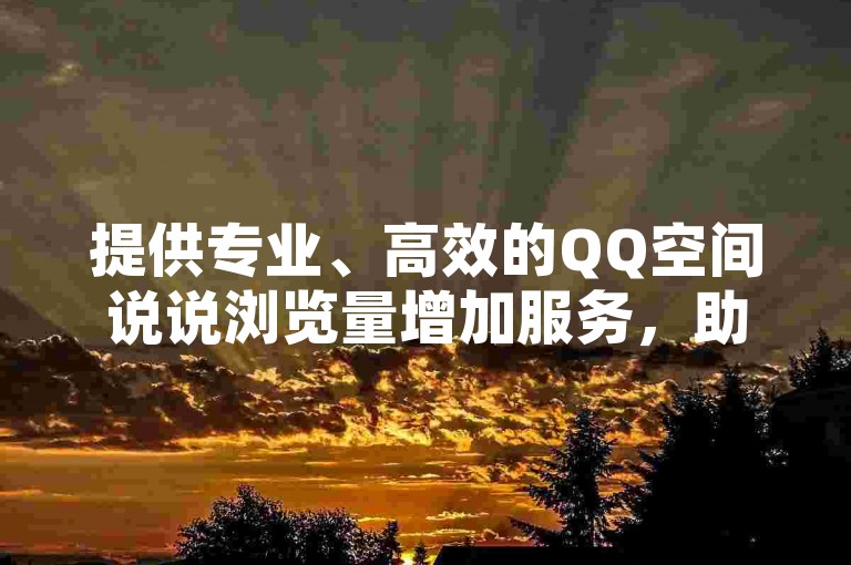 提供专业、高效的QQ空间说说浏览量增加服务，助您快速提升人气。