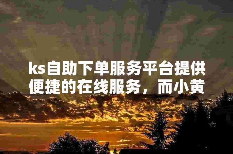 ks自助下单服务平台提供便捷的在线服务，而小黄代刷网则专注于网络流量提升。