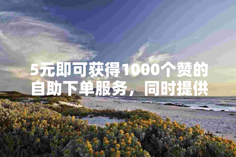 5元即可获得1000个赞的自助下单服务，同时提供直播间真人互动人气支持。