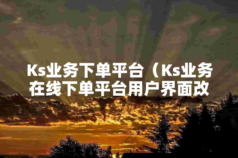 Ks业务下单平台（Ks业务在线下单平台用户界面改进方案）