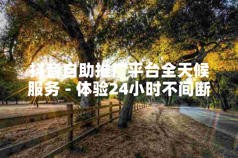 抖音自助推广平台全天候服务 - 体验24小时不间断的抖音推广新方案！