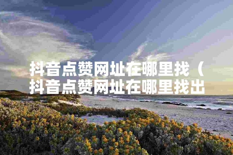 抖音点赞网址在哪里找（抖音点赞网址在哪里找出来）