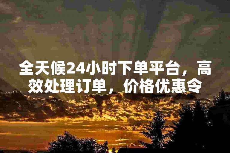 全天候24小时下单平台，高效处理订单，价格优惠令人心动！