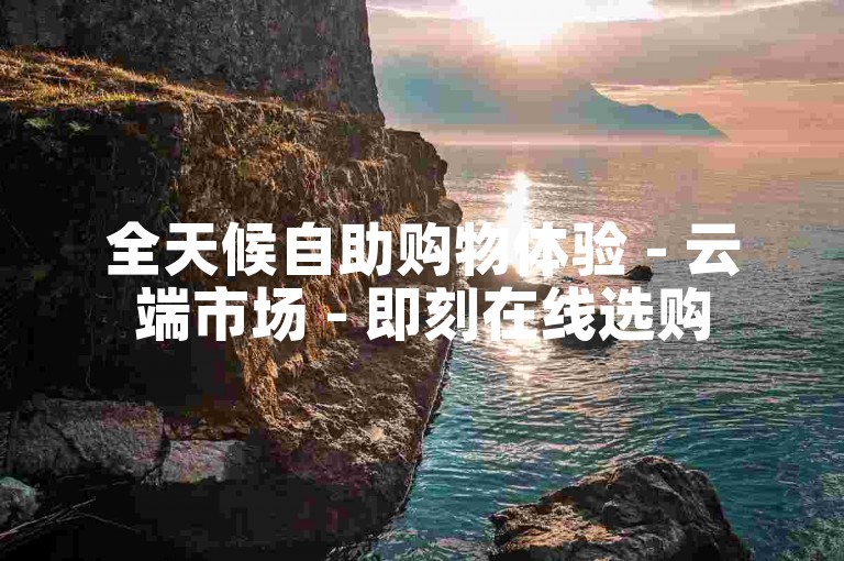 全天候自助购物体验 - 云端市场 - 即刻在线选购