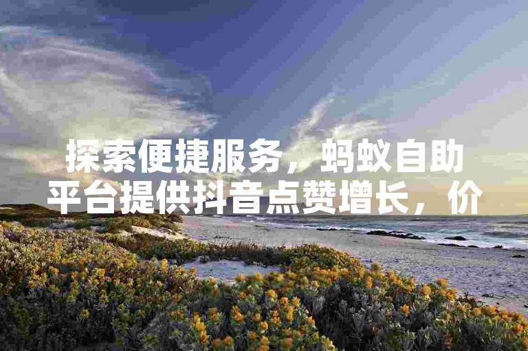探索便捷服务，蚂蚁自助平台提供抖音点赞增长，价格实惠。