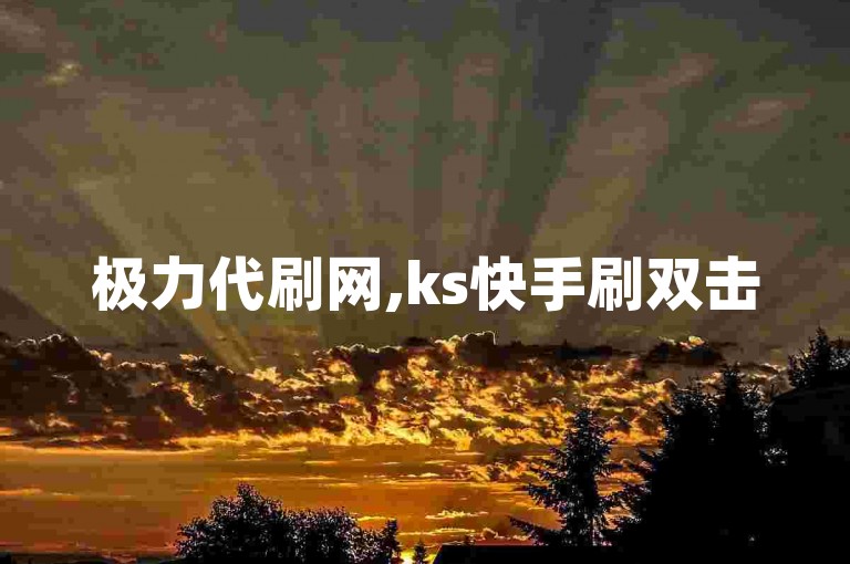 极力代刷网,ks快手刷双击