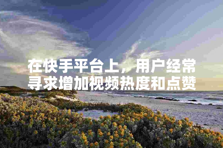 在快手平台上，用户经常寻求增加视频热度和点赞数，而有些服务声称提供低价的赞和热度提升。