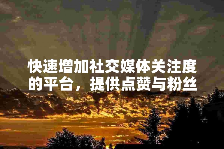 快速增加社交媒体关注度的平台，提供点赞与粉丝增长服务。