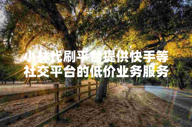 小林代刷平台提供快手等社交平台的低价业务服务，支持用户通过抖音自助下单获取优惠。