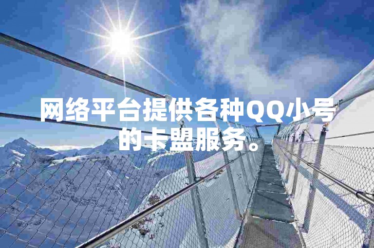 网络平台提供各种QQ小号的卡盟服务。