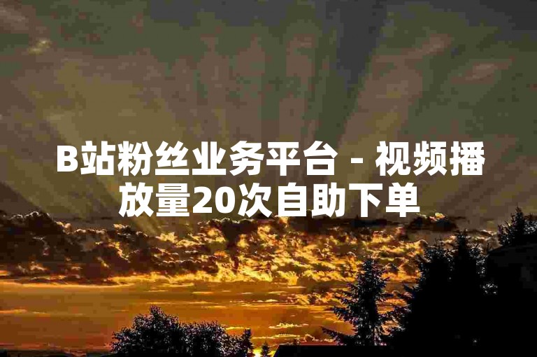 B站粉丝业务平台 - 视频播放量20次自助下单