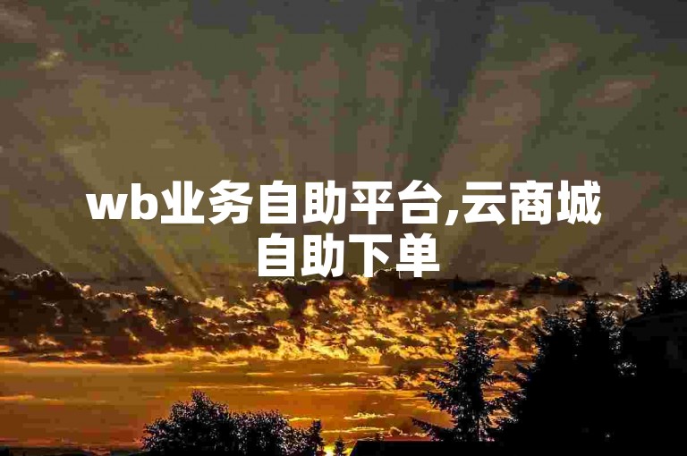 wb业务自助平台,云商城自助下单