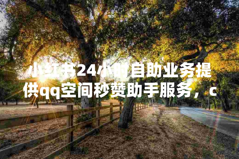 小红书24小时自助业务提供qq空间秒赞助手服务，cdk批发平台发卡网专业刷访客浏览。