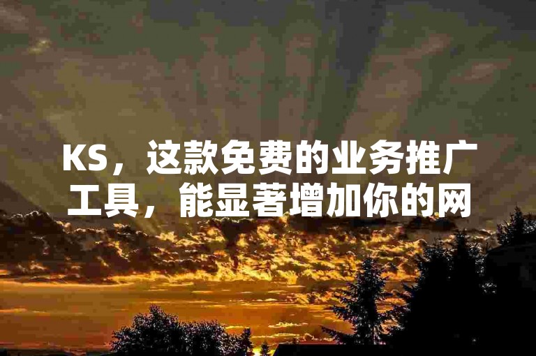 KS，这款免费的业务推广工具，能显著增加你的网站访问量并提升品牌知名度。