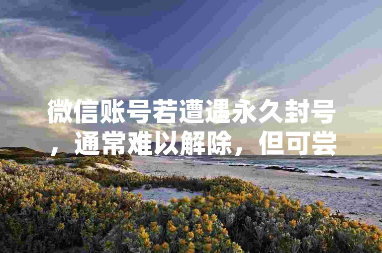 微信账号若遭遇永久封号，通常难以解除，但可尝试联系客服申诉；而快手引流软件声称全自动免费，dy直播间人气则可在线下单提升。