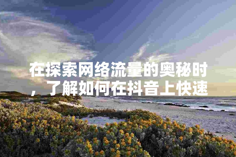 在探索网络流量的奥秘时，了解如何在抖音上快速获得点赞和关注是关键，同时拼多多的砍价活动分为多个阶段，而寻找1元购号平台则需要谨慎。