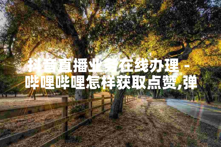 抖音直播业务在线办理 - 哔哩哔哩怎样获取点赞,弹幕,收藏。