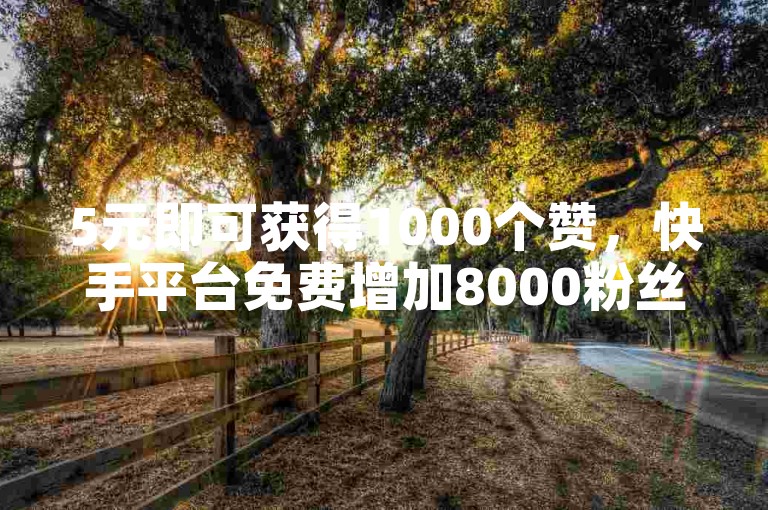 5元即可获得1000个赞，快手平台免费增加8000粉丝。