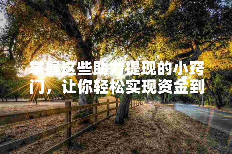 掌握这些助力提现的小窍门，让你轻松实现资金到账。