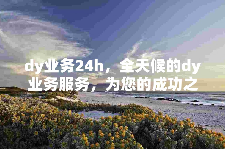 dy业务24h，全天候的dy业务服务，为您的成功之路保驾护航。