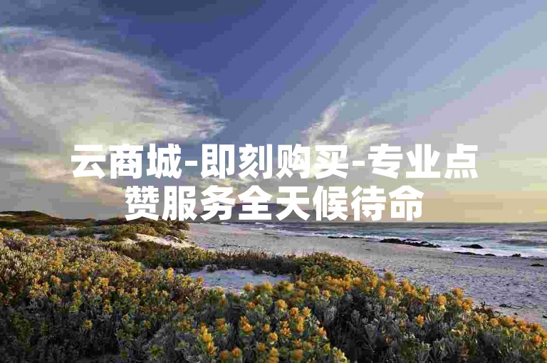 云商城-即刻购买-专业点赞服务全天候待命
