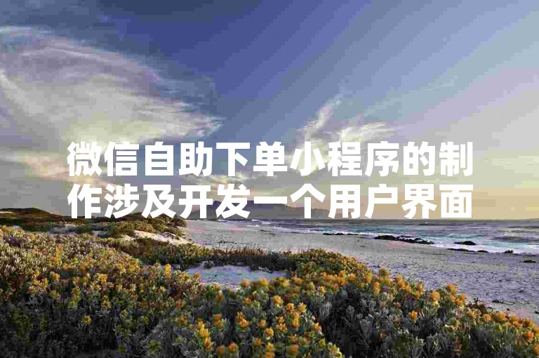 微信自助下单小程序的制作涉及开发一个用户界面，允许顾客通过微信平台直接选择商品或服务并完成支付过程。